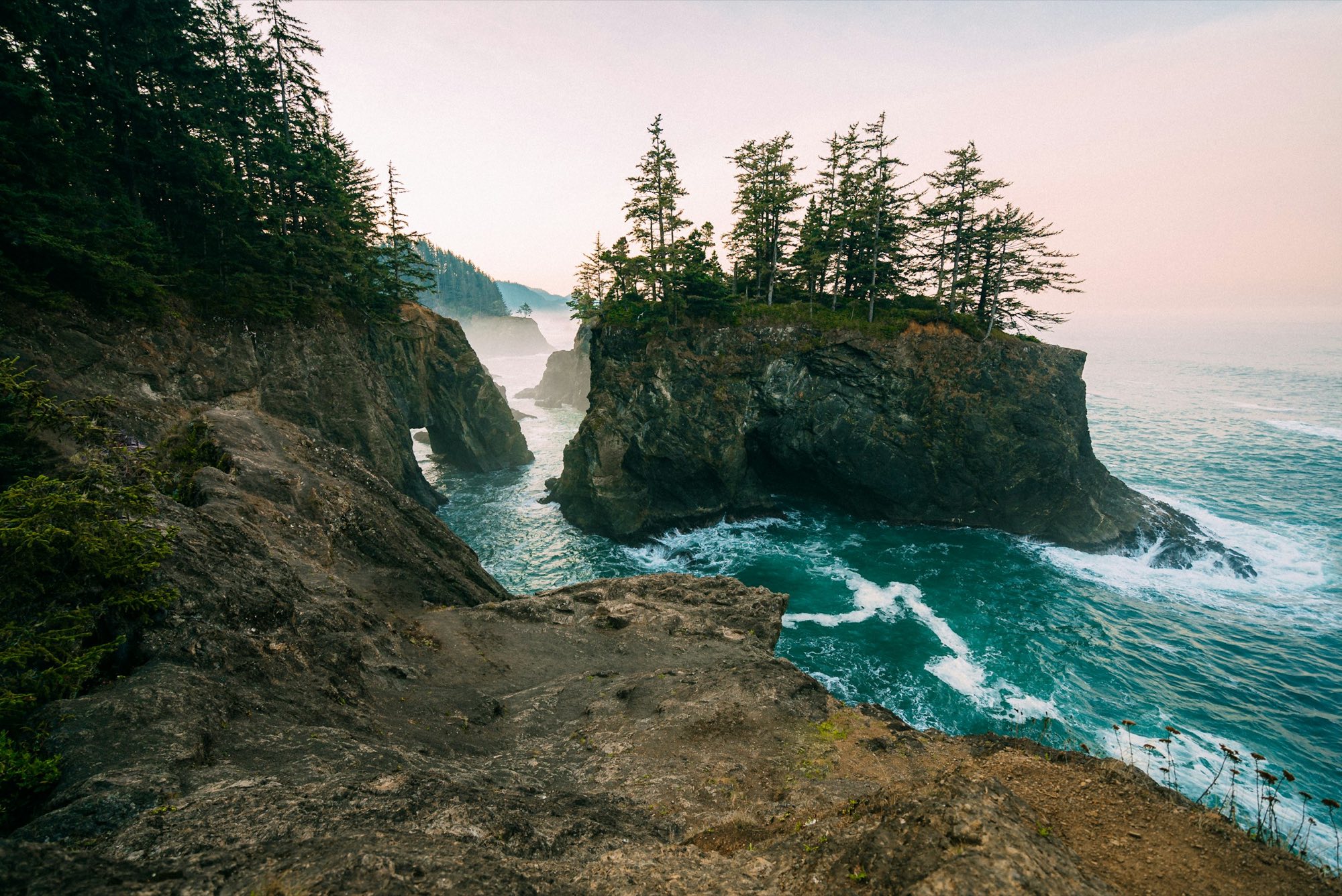 Sea stacks topped with evergreens on the Oregon coast at dusk