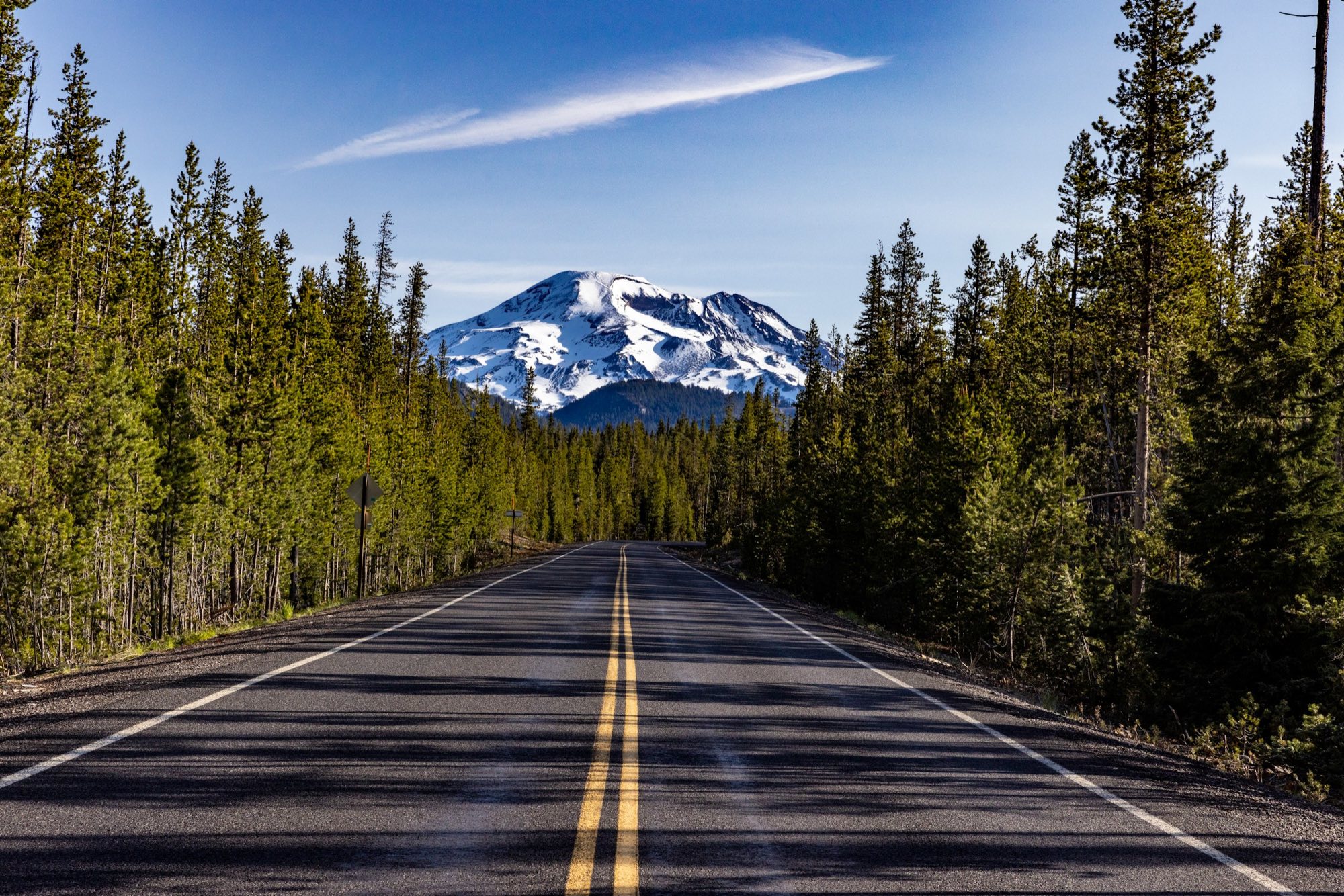 A two-lane road through lodgepole pines toward a snow-capped peak